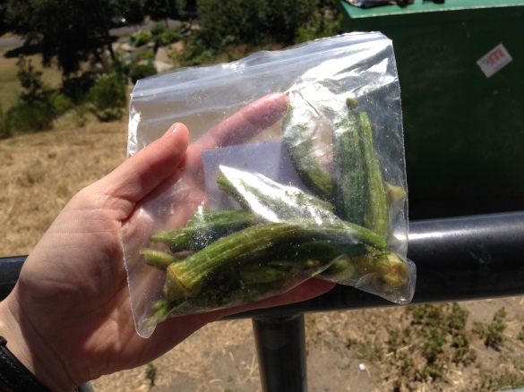 My bag of dried okra, which at first glance looks a bit like dead grasshoppers. Yummier than appearance, I promise.